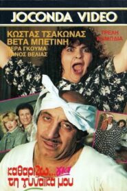 Καθαρίζω για τη γυναίκα μου – 1987 – Online In Netflix