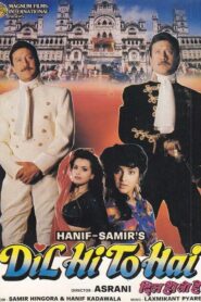 दिल ही तो है – 1992 – Online In Netflix