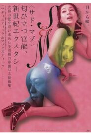 サディスティック＆マゾヒスティック – 2001 – Online In Netflix