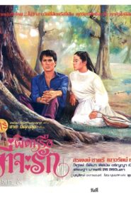 ผิดหรือที่จะรัก – 1980 – Online In Netflix