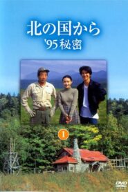 北の国から ’95秘密 後編 – 1995 – Online In Netflix