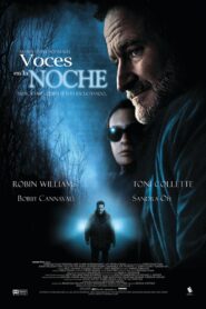 The Night Listener – 2006 – Online In Netflix