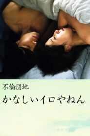 不倫団地　かなしいイロやねん – 2005 – Online In Netflix