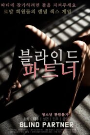 블라인드 파트너 – 2020 – Online In Netflix