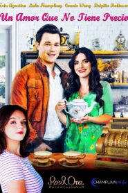 A Priceless Love – 2022 – Online In Netflix