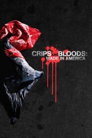 Crips and Bloods: Made in America – 2009 – Online In Netflix