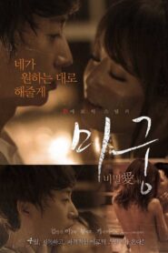 미궁: 비밀애 – 2015 – Online In Netflix