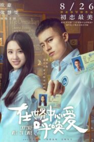 在世界中心呼唤爱 – 2016 – Online In Netflix
