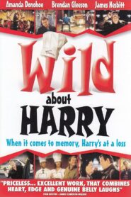 Wild About Harry – 2000 – Online In Netflix