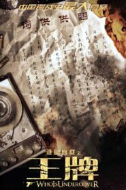 王牌 – 2014 – Online In Netflix