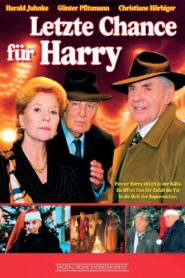 Letzte Chance für Harry – 1998 – Online In Netflix