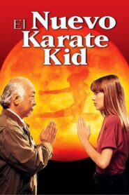 Karate Kid 4: La nueva aventura – 1994 – Online In Netflix