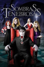Sombras Tenebrosas – 2012 – Online In Netflix