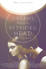 Dreams from a Petrified Head – 2011 – Online In Netflix