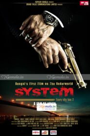 System – 2011 – Online In Netflix