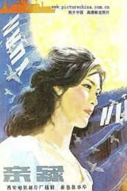 亲缘 – 1980 – Online In Netflix