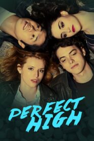 Perfect High – 2015 – Online In Netflix