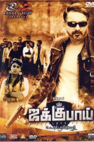 Jaggubhai – 2010 – Online In Netflix