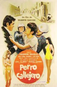 Perro callejero – 1980 – Online In Netflix