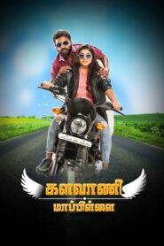 களவாணி மாப்பிள்ளை – 2018 – Online In Netflix