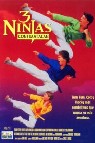3 Ninjas al rescate – 1994 – Online In Netflix