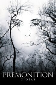 Premoniciones – 2007 – Online In Netflix