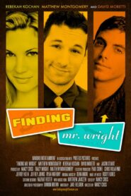 Finding Mr. Wright – 2011 – Online In Netflix
