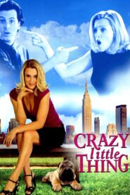 The Perfect You – 2002 – Online In Netflix