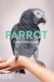 Parrot Confidential – 2013 – Online In Netflix