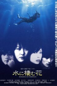水に棲む花 – 2006 – Online In Netflix