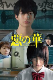 惡の華 – 2019 – Online In Netflix