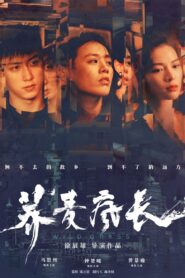 荞麦疯长 – 2020 – Online In Netflix