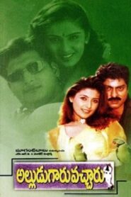 అల్లుడుగారు వచ్చారు – 1999 – Online In Netflix