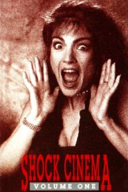 Shock Cinema: Volume One – 1991 – Online In Netflix
