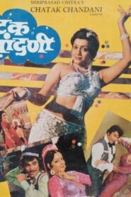 चटक चांदनी – 1982 – Online In Netflix