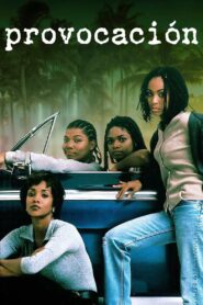 Provocación – 1996 – Online In Netflix