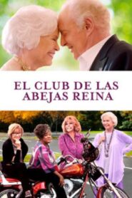 Queen Bees – 2021 – Online In Netflix