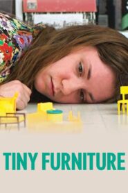 Tiny Furniture – 2010 – Online In Netflix