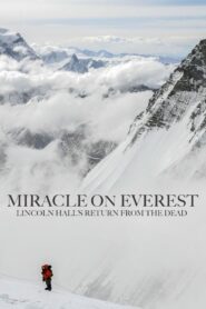Miracle on Everest – 2008 – Online In Netflix