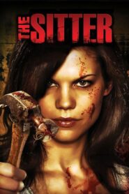 The Sitter – 2007 – Online In Netflix
