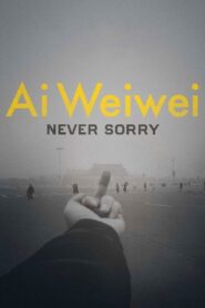Ai Weiwei: Never Sorry – 2012 – Online In Netflix