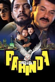 Parinda – 1989 – Online In Netflix