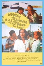 Sosesc păsările călătoare – 1984 – Online In Netflix