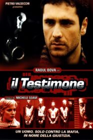 Il testimone – 2001 – Online In Netflix