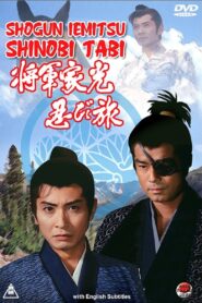 将軍家光忍び旅 – 1990 – Online In Netflix