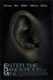 Enter the Dangerous Mind – 2013 – Online In Netflix