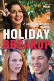 Holiday Breakup – 2016 – Online In Netflix