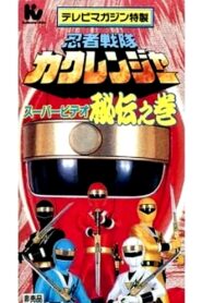 テレビマガジン特製 忍者戦隊カクレンジャースーパービデオ 秘伝之巻 – 1995 – Online In Netflix
