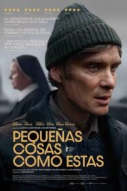 Pequeñas cosas como estas – 2024 – Online In Netflix