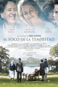 The Eye of the Storm – 2011 – Online In Netflix